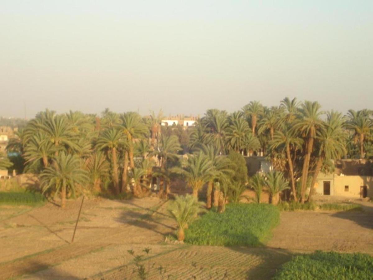 Rose Guest House Luxor Exterior foto