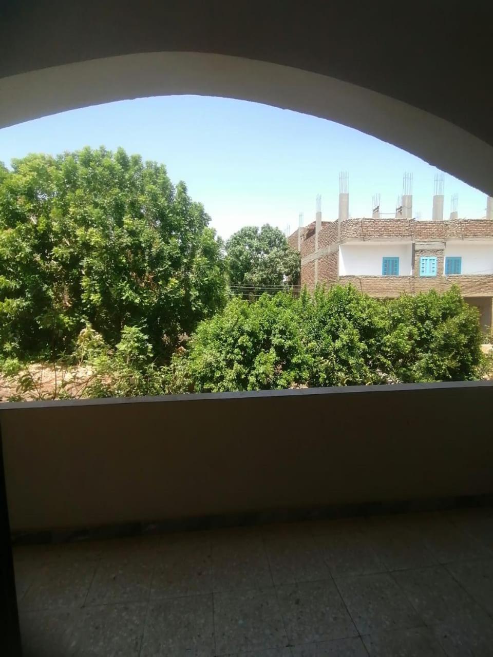 Rose Guest House Luxor Exterior foto