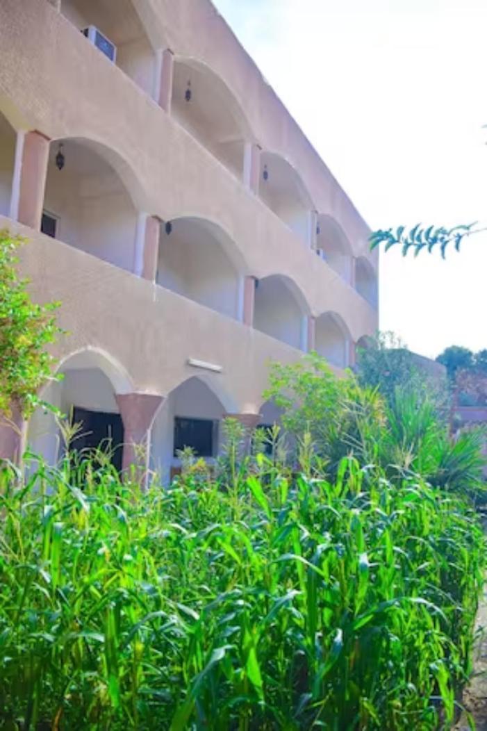 Rose Guest House Luxor Exterior foto
