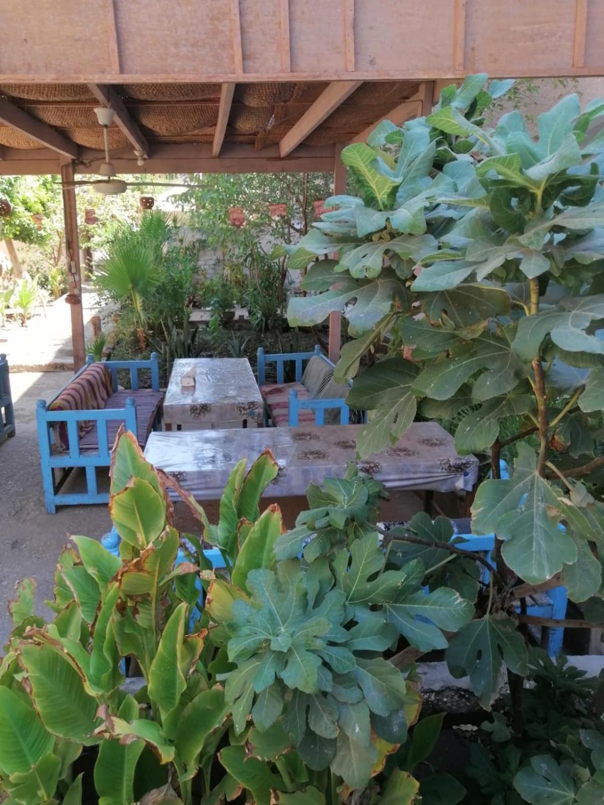 Rose Guest House Luxor Exterior foto