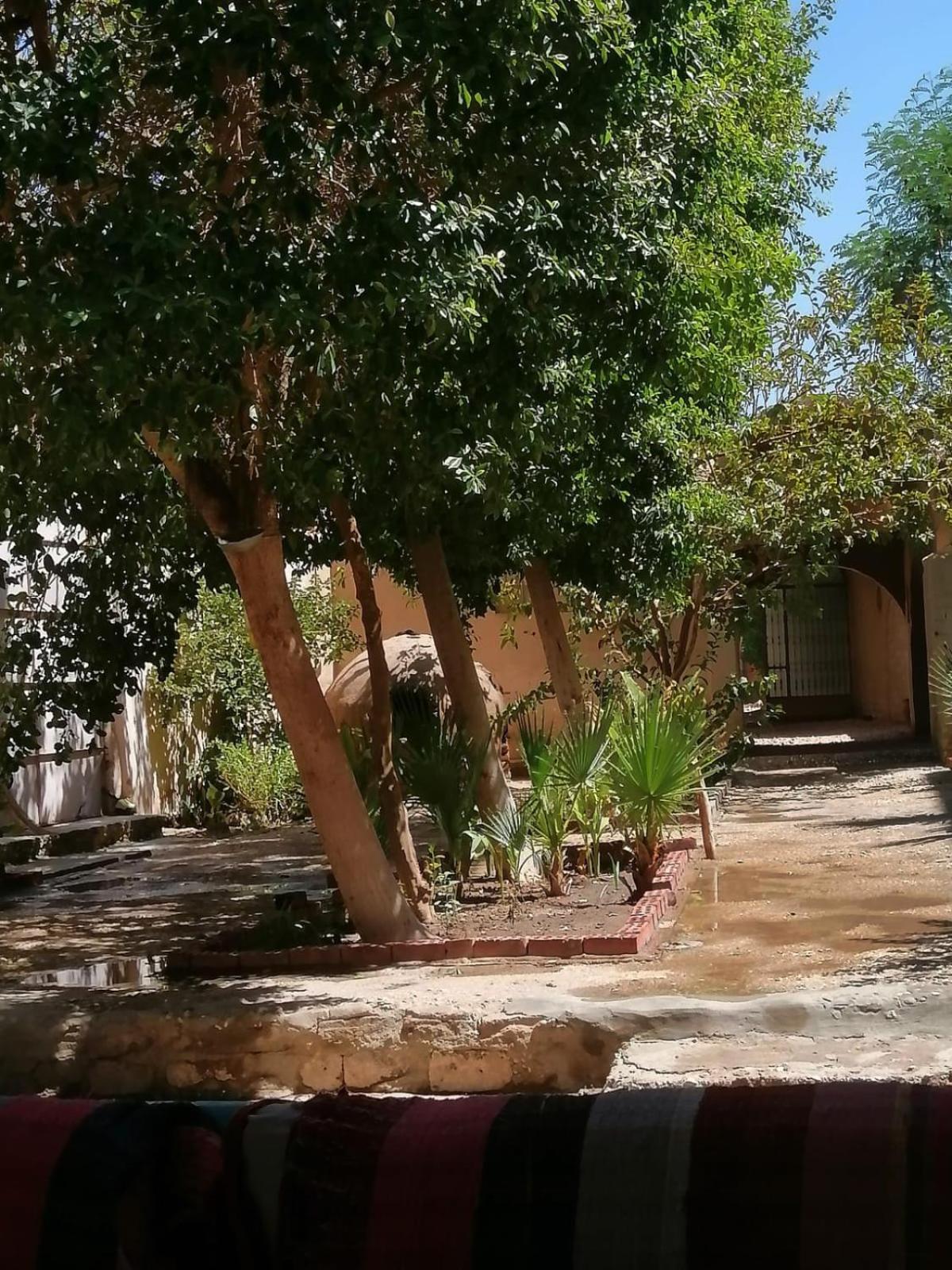 Rose Guest House Luxor Exterior foto