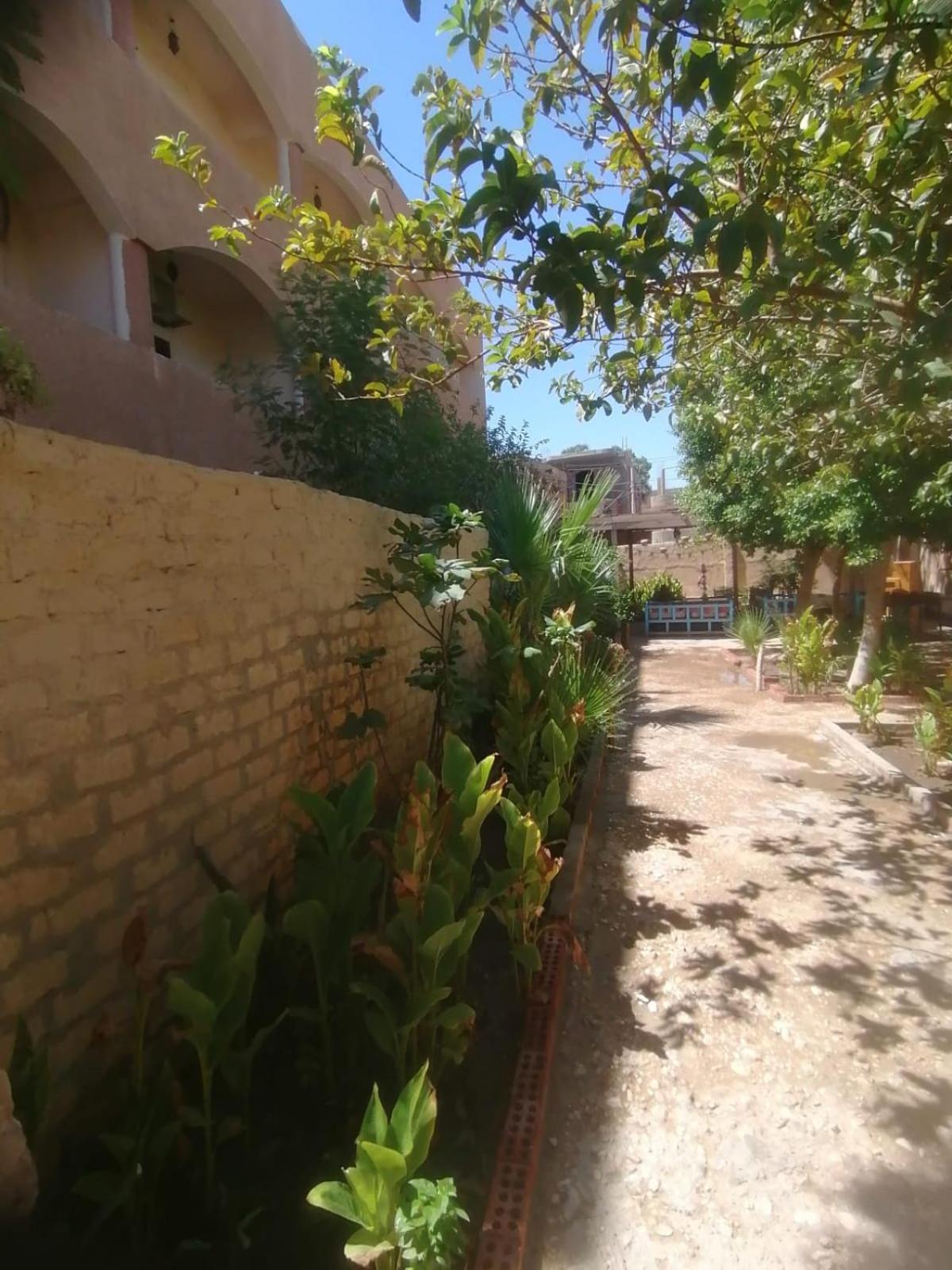 Rose Guest House Luxor Exterior foto